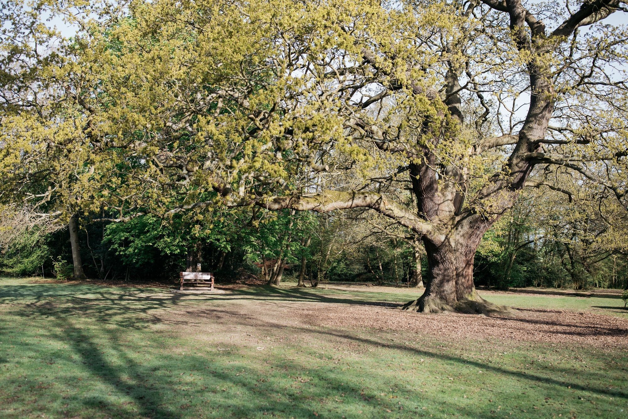 Hotel Gilwell Park Chingford Exterior foto